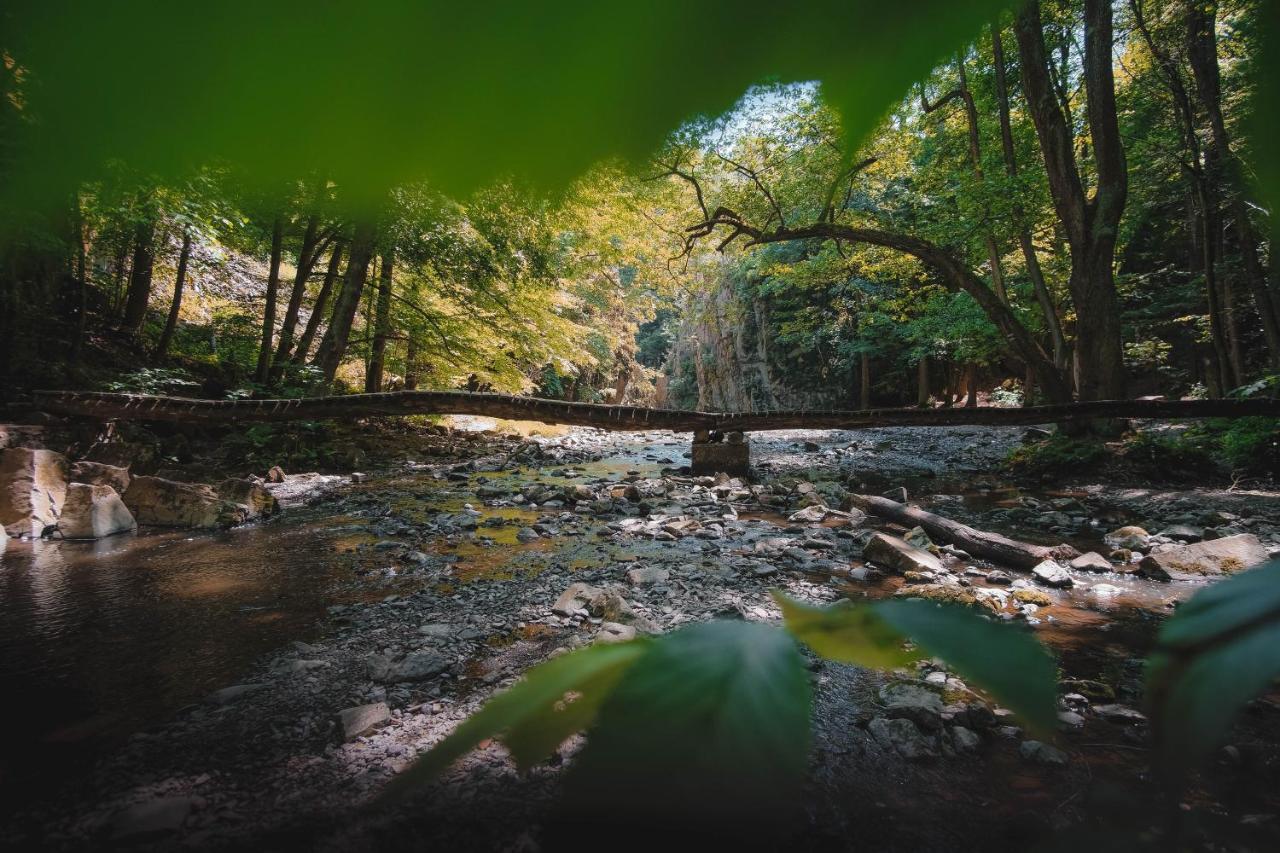 Vila Domecek Na Kvetinovem Statku Zdice Exteriér fotografie