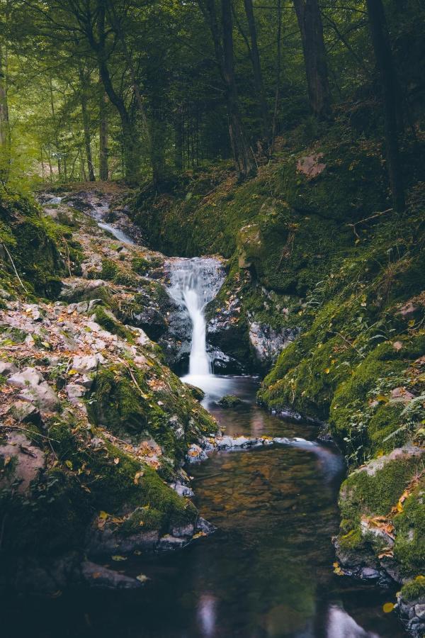 Vila Domecek Na Kvetinovem Statku Zdice Exteriér fotografie