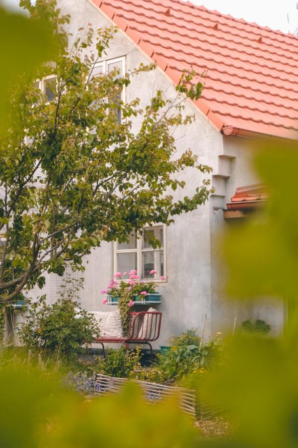 Vila Domecek Na Kvetinovem Statku Zdice Exteriér fotografie